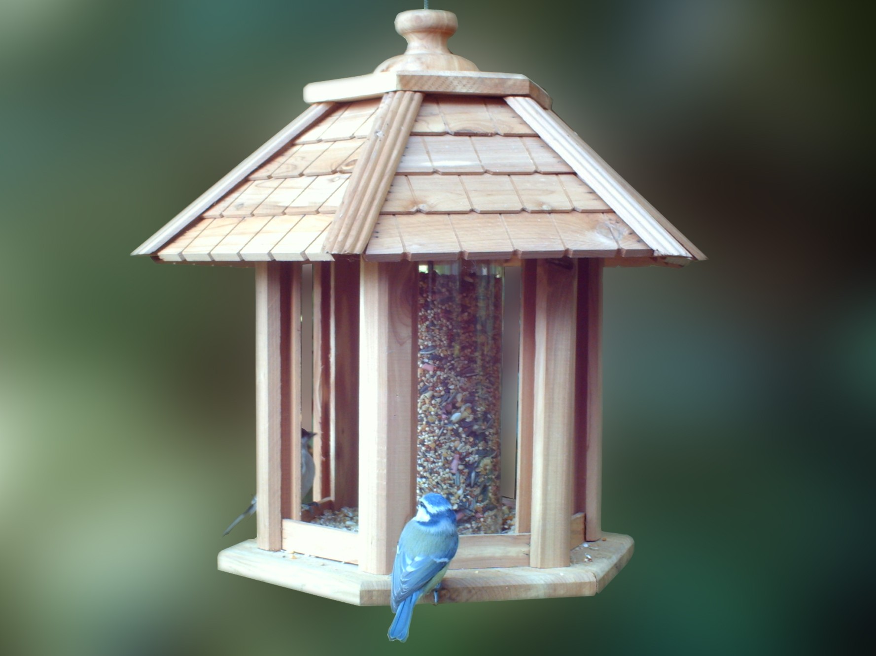 mangeoire a oiseau mangeoire oiseaux mangeoire a oiseau mangeoire oiseaux