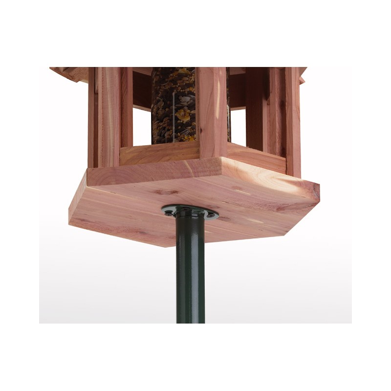 poteau feeder pole plus oisillon poteau feeder pole plus oisillon