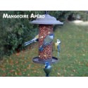 Cacahuètes décortiquées Cacahuètes décortiquées