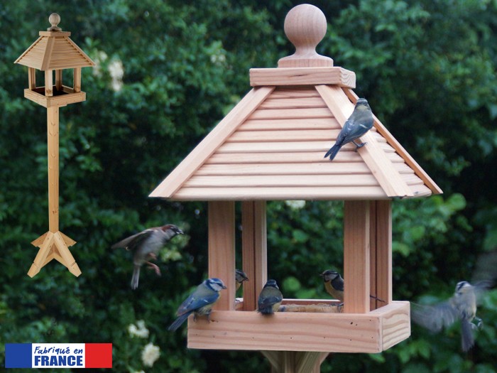 Mangeoire Festin Sur Pied Pour Graines En Pin Douglas