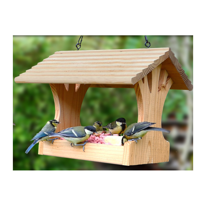 Mangeoire plateforme pour graines et autres nourriture pour oiseaux. France