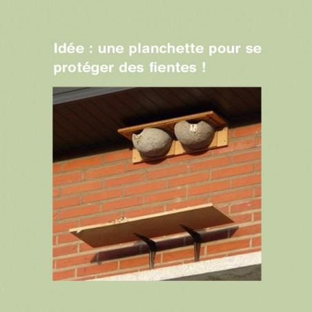 Nichoir SantaCruz pour hirondelles des fenetres -Natures Market