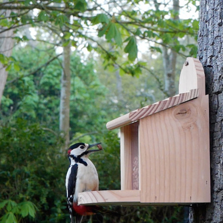 Mangeoire Ecureuil pour écureuils et/oiseaux Natures Market -Oisillon.net- fabriquée en France