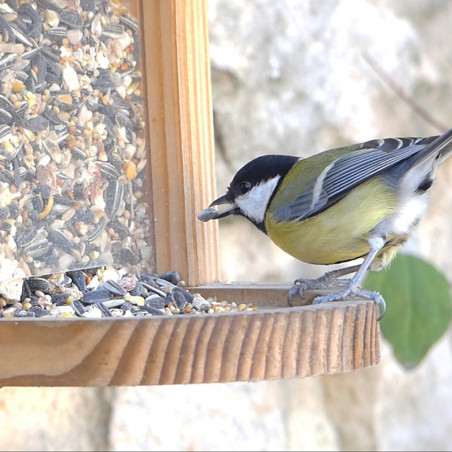 Mangeoire Ecureuil pour écureuils et/oiseaux Natures Market -Oisillon.net- fabriquée en France