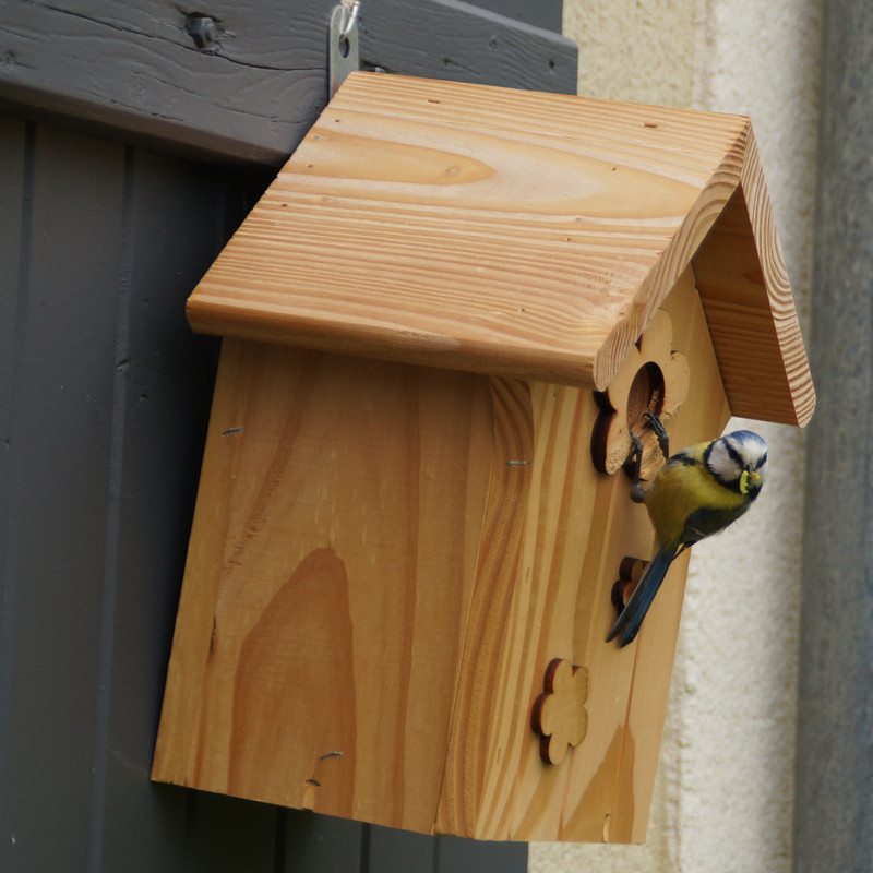 Nichoir Le Poupon pour mésanges bleues, nonettes, huppées et mésanges noires. Fabriqué en France Natures Market Oisillon.net