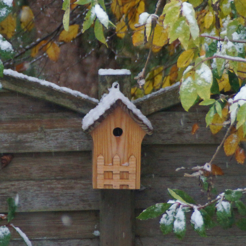 Nichoir La Crèche pour mésanges bleues, nonettes, huppées et mésanges noires. Fabriqué en France Natures Market Oisillon.net