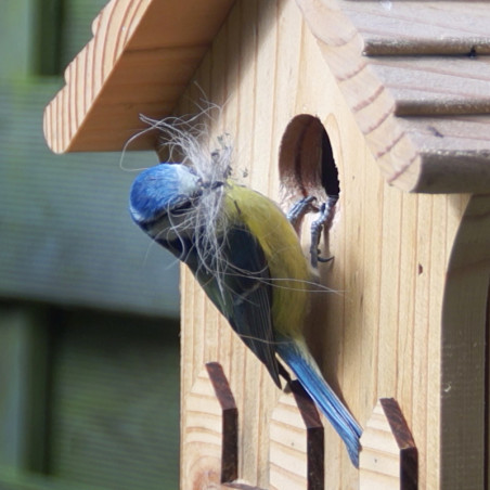 Nichoir La Crèche pour mésanges bleues, nonettes, huppées et mésanges noires. Fabriqué en France Natures Market Oisillon.net