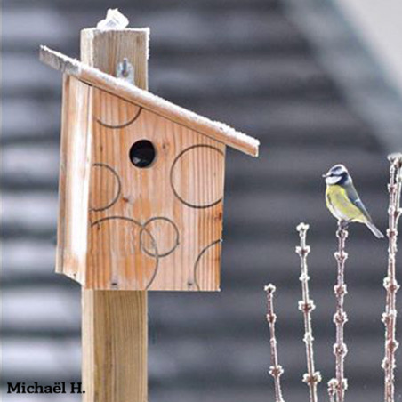 Nichoir oiseaux en bois pour mésanges bleues, moineaux, passereaux