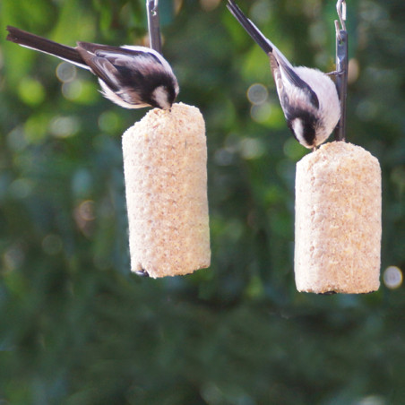 Prêt à l'emploi Graisse Végétale sans huile de palme pour oiseaux Natures Market -Oisillon.net-