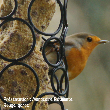 Cylindre de graisse végétale sans huile de palme  pour oiseaux Natures Market -Oisillon.net-