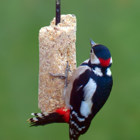 Prêt à l'emploi Graisse Végétale sans huile de palme pour oiseaux Natures Market -Oisillon.net-