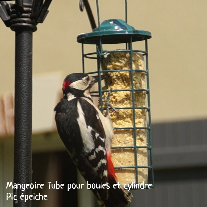 Cylindre de graisse végétale sans huile de palme pour oiseaux Natures Market -Oisillon.net-