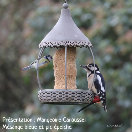 Cylindre de graisse végétale sans huile de palme pour oiseaux Natures Market -Oisillon.net-