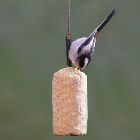 Prêt à l'emploi Graisse Végétale sans huile de palme pour oiseaux Natures Market -Oisillon.net-