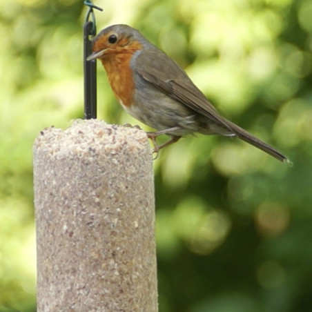 Prêt à l'emploi Graisse Végétale sans huile de palme pour oiseaux Natures Market -Oisillon.net-