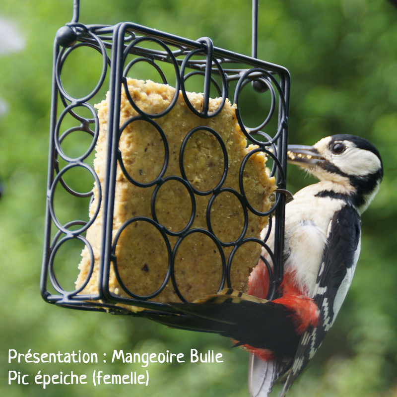 Repas de graisse végétale sans huile de palme pour oiseaux Natures Market