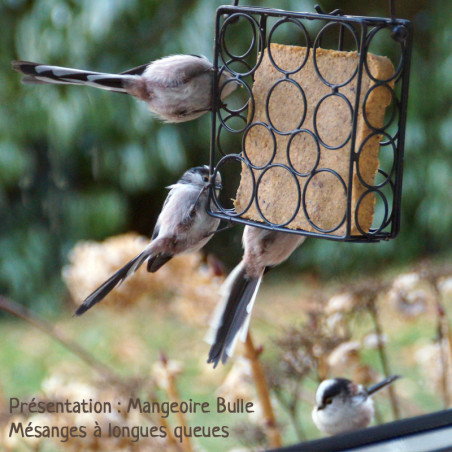 Repas de graisse végétale sans huile de palme pour oiseaux Natures Market