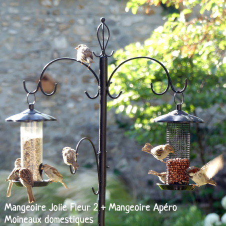 Cacahuètes décortiquées pour oiseaux du ciel Natures Market -Oisillon.net-