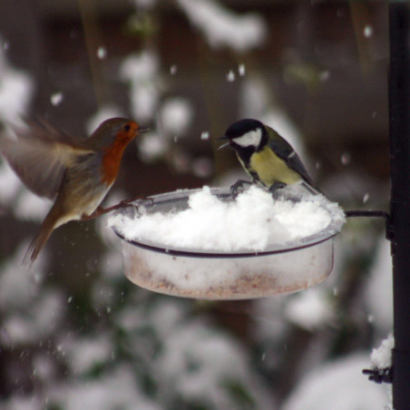 Poteau + mangeoires pour oiseaux Natures Market -Oisillon.net-