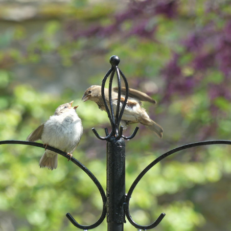 Poteau + mangeoires pour oiseaux Natures Market -Oisillon.net-