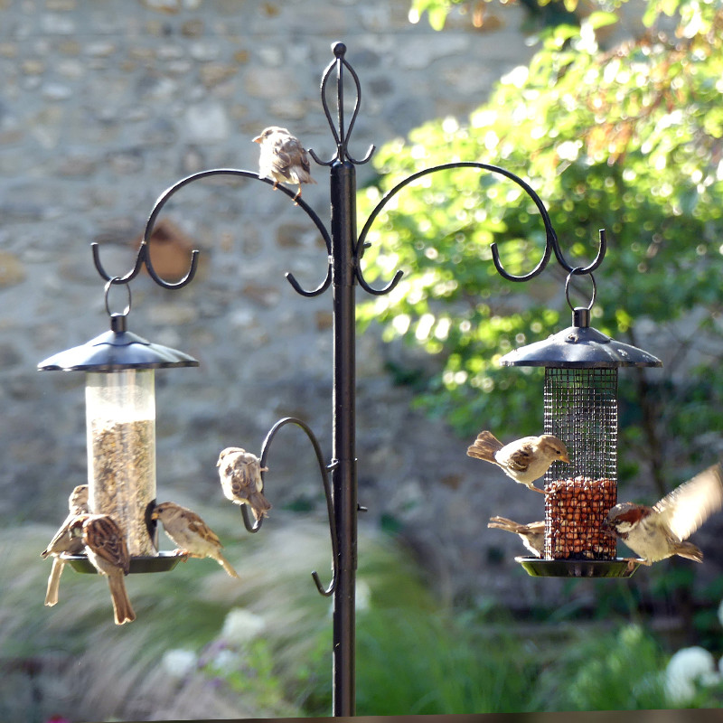 Jolie mangeoire à suspendre pour les oiseaux de votre jardin !