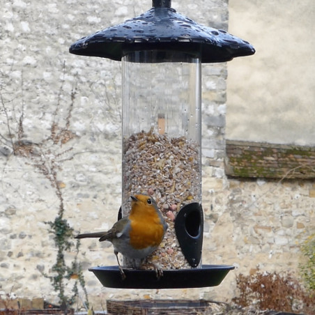 Mangeoire à oiseaux avec tube en polycarbonate transparent rouge