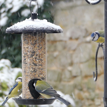 2 mangeoires à oiseaux à suspendre