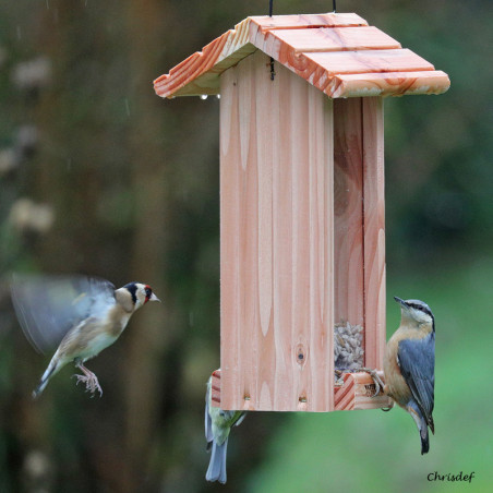 Mangeoire pour oiseaux Le Grenier : pour graines,  Natures Market - Oisillon.net - Fabriquée en France-photo chrisdef