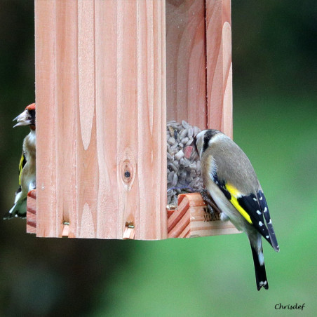 Mangeoire pour oiseaux Le Grenier : pour graines,  Natures Market - Oisillon.net - Fabriquée en France-photo chrisdef