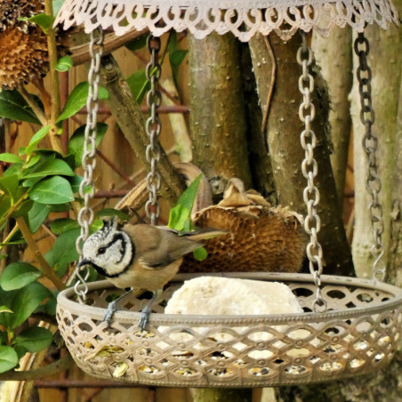 Mangeoire  GRAINES et EAU pour oiseaux Natures Market -Oisillon.net-