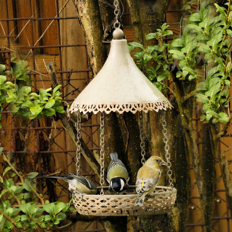 Mangeoire  GRAINES et EAU pour oiseaux Natures Market -Oisillon.net-