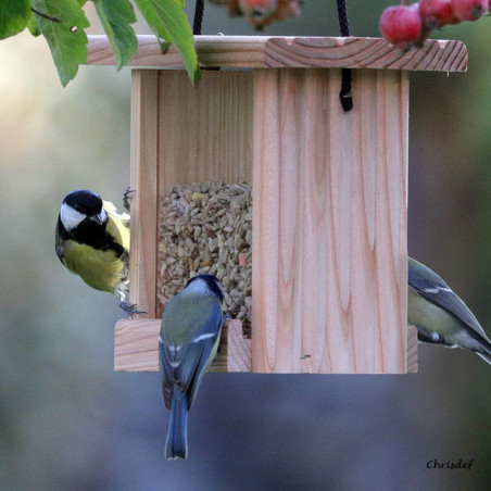 Mangeoire pour graines : le Bar à Graines pour oiseaux Natures Market -Oisillon.net- fabriqué en France