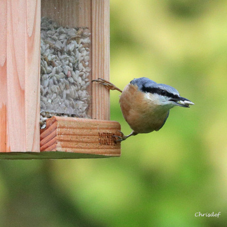 Mangeoire pour graines : le Bar à Graines pour oiseaux Natures Market -Oisillon.net- fabriqué en France