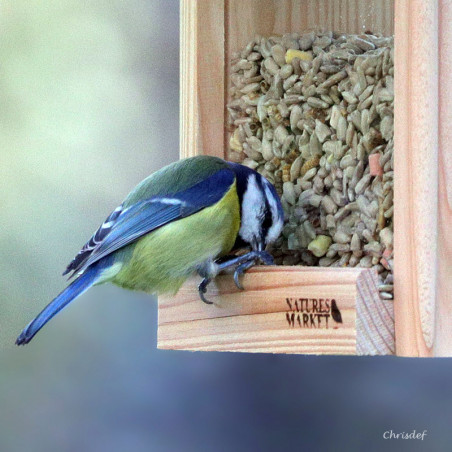 Mangeoire pour graines : le Bar à Graines pour oiseaux Natures Market -Oisillon.net- fabriqué en France