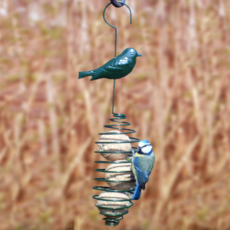 Fabriquer un support à boule de graisse pour les oiseaux du jardin -  SlyDventure