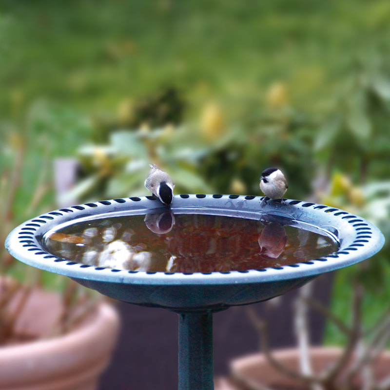 Abreuvoir sur pied pour oiseaux Natures Market -Oisillon.net-
