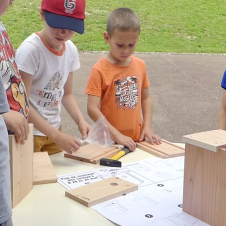 Kit des nichoirs dans ma ville Ntures market Oisilloon.net construire des nichoirs pour les écoles et les mairies