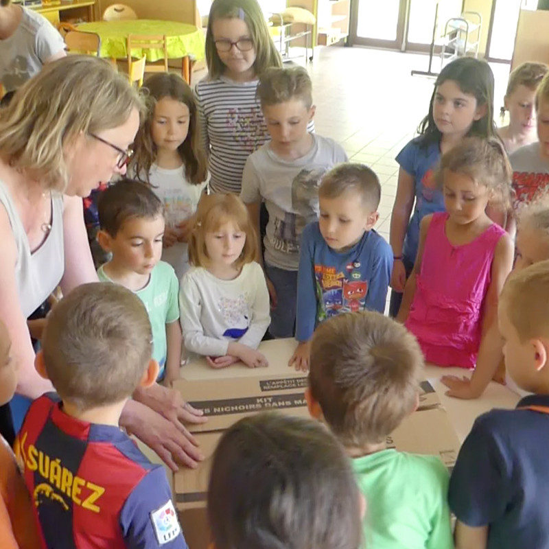 Kit des nichoirs dans ma ville Ntures market Oisilloon.net construire des nichoirs pour les écoles et les mairies