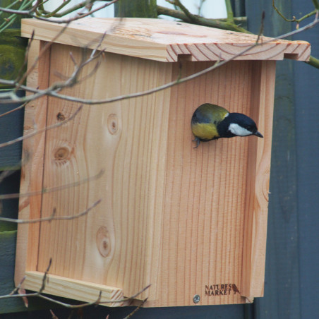 Construire des nichoirs pour oiseaux avec les enfants