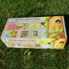 kit premiers pas - fabriqué un nichoir - kit de bricolage pour enfants - fabriqué en France - Natures Market kit premiers pas - fabriqué un nichoir - kit de bricolage pour enfants - fabriqué en France - Natures Market