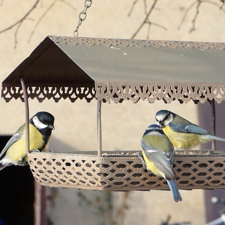 Mangeoire Antique pour oiseaux, pour graisses et graines Natures Market -Oisillon.net-