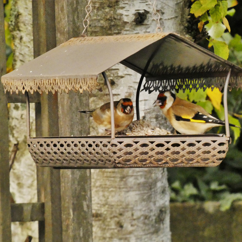 Mangeoire Antique pour oiseaux, pour graisses et graines Natures Market -Oisillon.net-