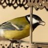 Mangeoire Antique pour oiseaux, pour graisses et graines Natures Market -Oisillon.net- Mangeoire Antique pour oiseaux, pour graisses et graines Natures Market -Oisillon.net-