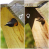 Nichoir La Chaumière pour oiseaux mésanges charbonnières, moineaux, sittelles torchepot ... Natures Market Nichoir La Chaumière pour oiseaux mésanges charbonnières, moineaux, sittelles torchepot ... Natures Market