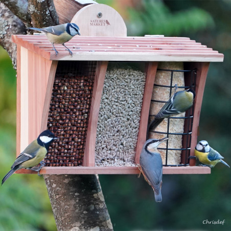 Mangeoire Le Restaurant NM138 Natures Market Oisillon.net oiseaux graines graisses cacahuètes photo chrisdef