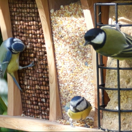 Mangeoire Le Restaurant NM138 Natures Market Oisillon.net oiseaux graines graisses cacahuètes photo chrisdef