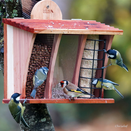 Mangeoire Le Restaurant NM138 Natures Market Oisillon.net oiseaux chardonneret graines graisses cacahuètes photo chrisdef