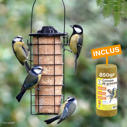 Mangeoire tubulaire Apéro pour petits oiseaux comme les mésanges,  chardonnerets