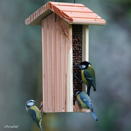 Mangeoire pour oiseaux au comptoir pour cacahuètes Natures Market - Oisillon.net - Fabriquée en France-photo chrisdef