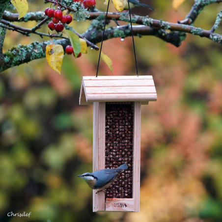 Mangeoire pour oiseaux au comptoir pour cacahuètes Natures Market - Oisillon.net - Fabriquée en France-photo chrisdef